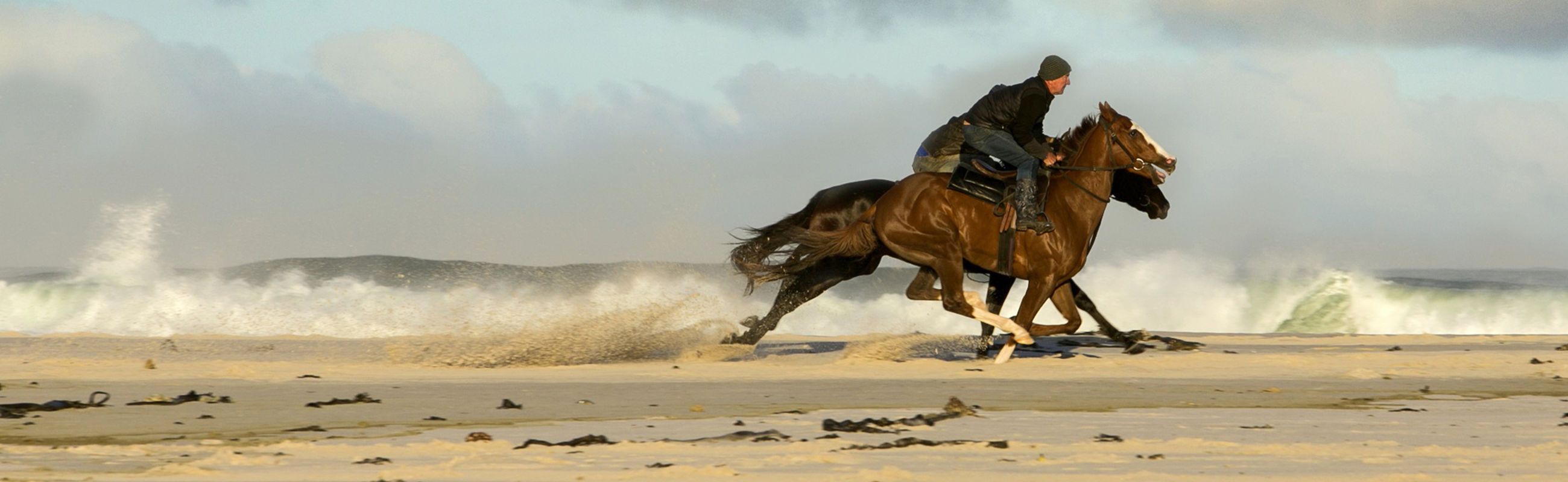 Take your horse on holiday at the beach